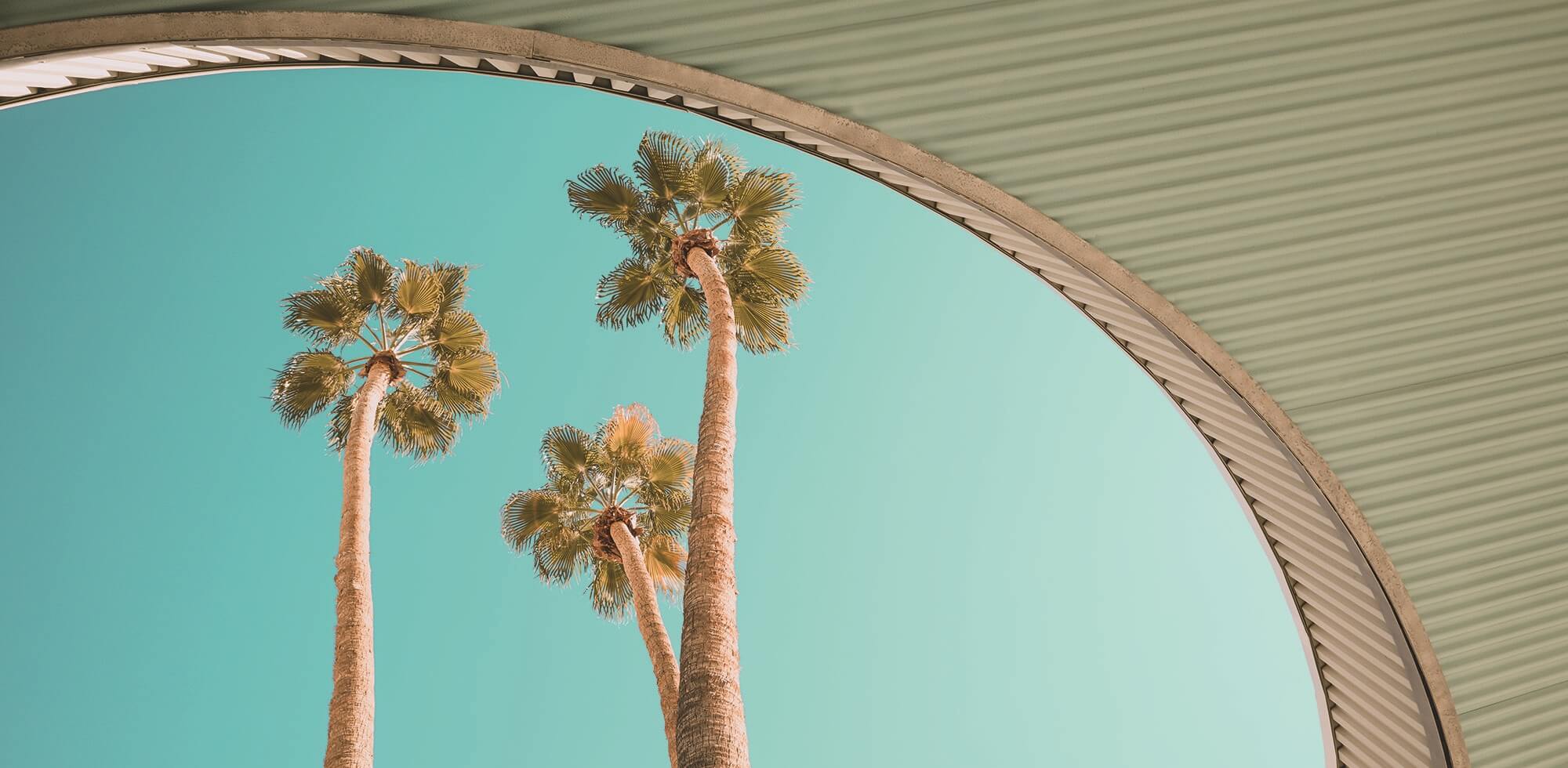 Palmen Hintergrund Blogbeitrag März 2019 2000x980