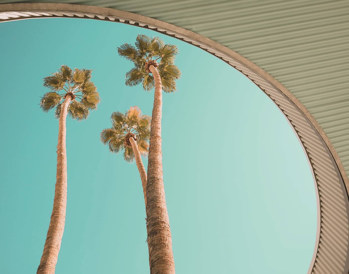 Palm Springs - elegante Bettwäsche