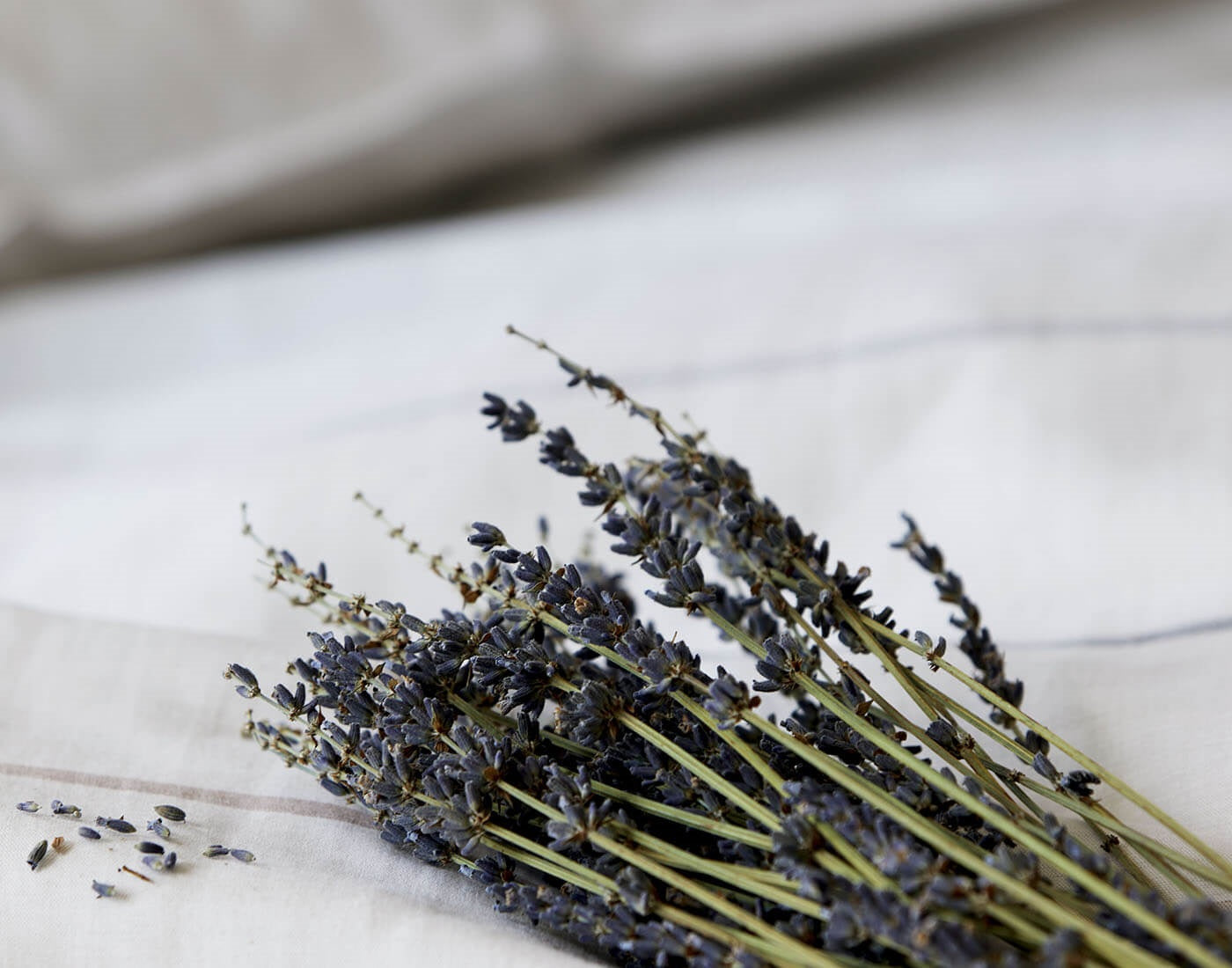 Lavendel für Duftkissen Halbleinen