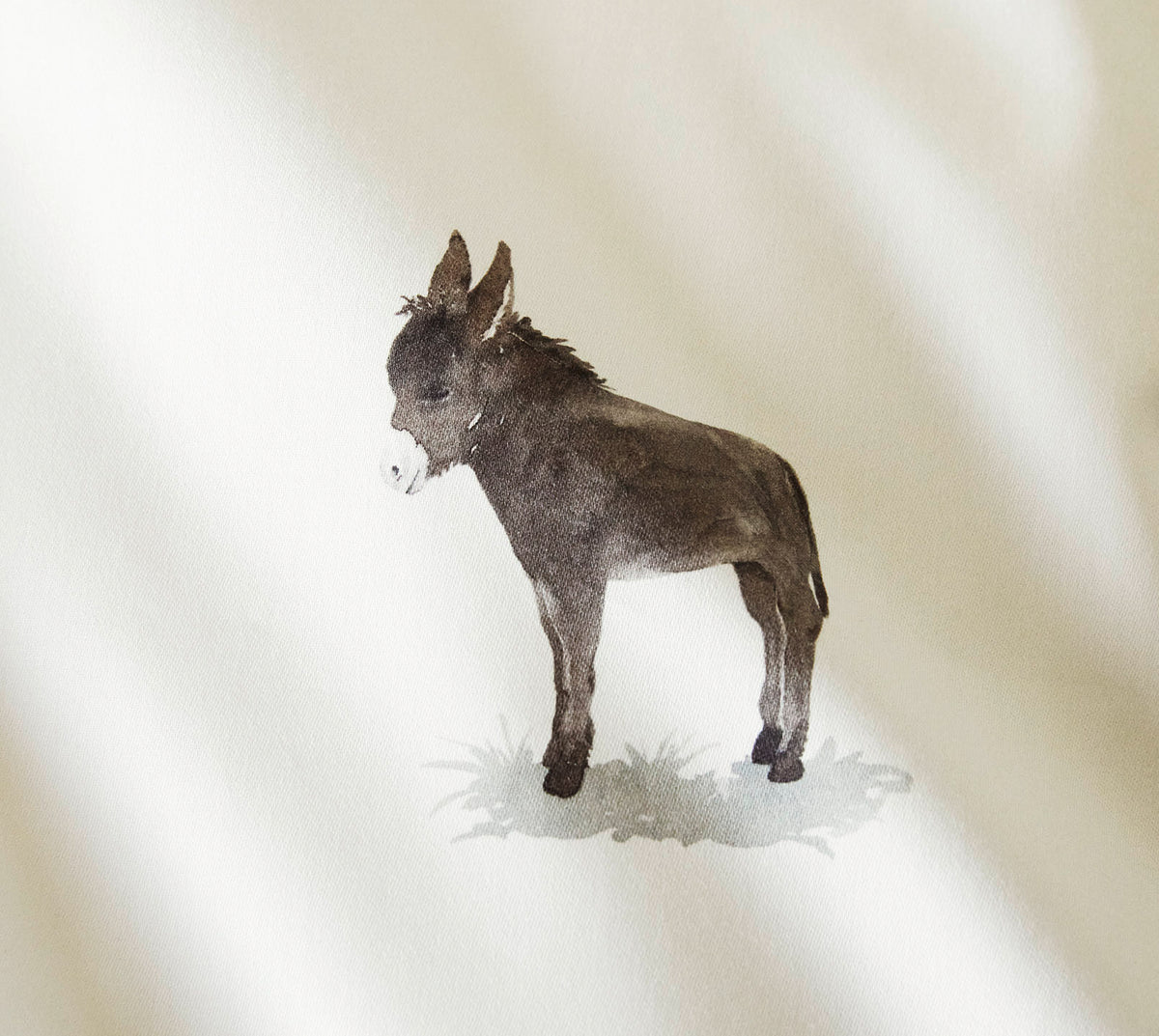 Donkey